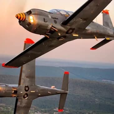 Voltige aérienne en avion militaire en Vendée - La Roche-sur-Yon - vue 1