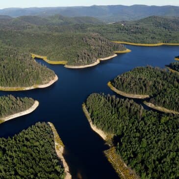 Baptême en avion près de Nancy - vue 2