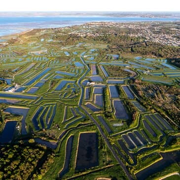Baptême en hélicoptère autour de la Rochelle - vue 5