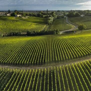 Vol en hélicoptère depuis Saucats au-dessus des vignobles de Bordeaux - vue 2