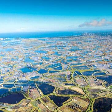 Vol en hélicoptère à la Baule - vue 6