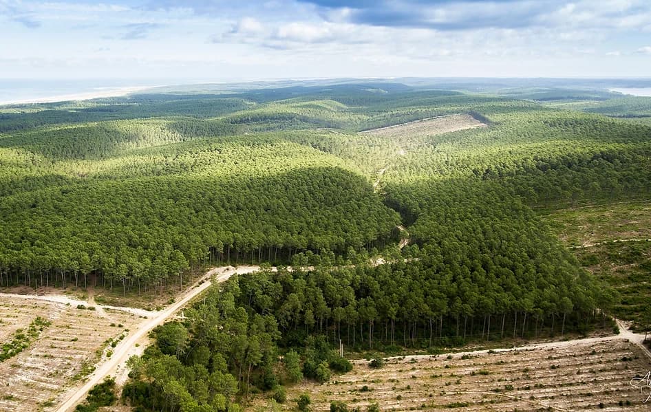 Bapteme de l'air en autogire à Biscarrosse - vue 6