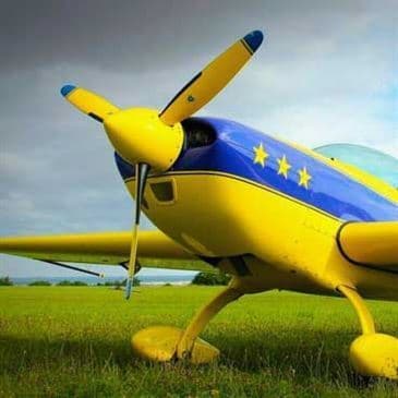 Baptême de voltige dans le Val d'Oise avec vidéo du vol - vue 3