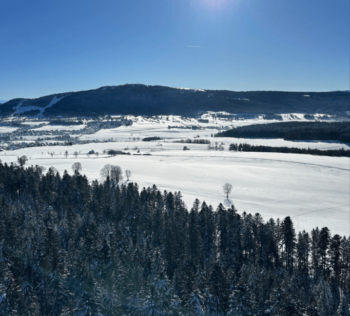 Vol en montgolfière dans le massif du Jura - vue 2